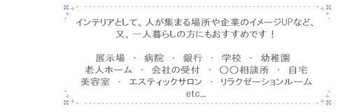 インテリア水槽の設計、施工、設置、メンテナンス