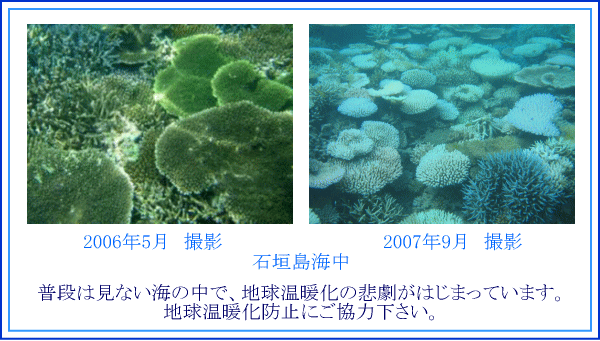 サンゴと温暖化