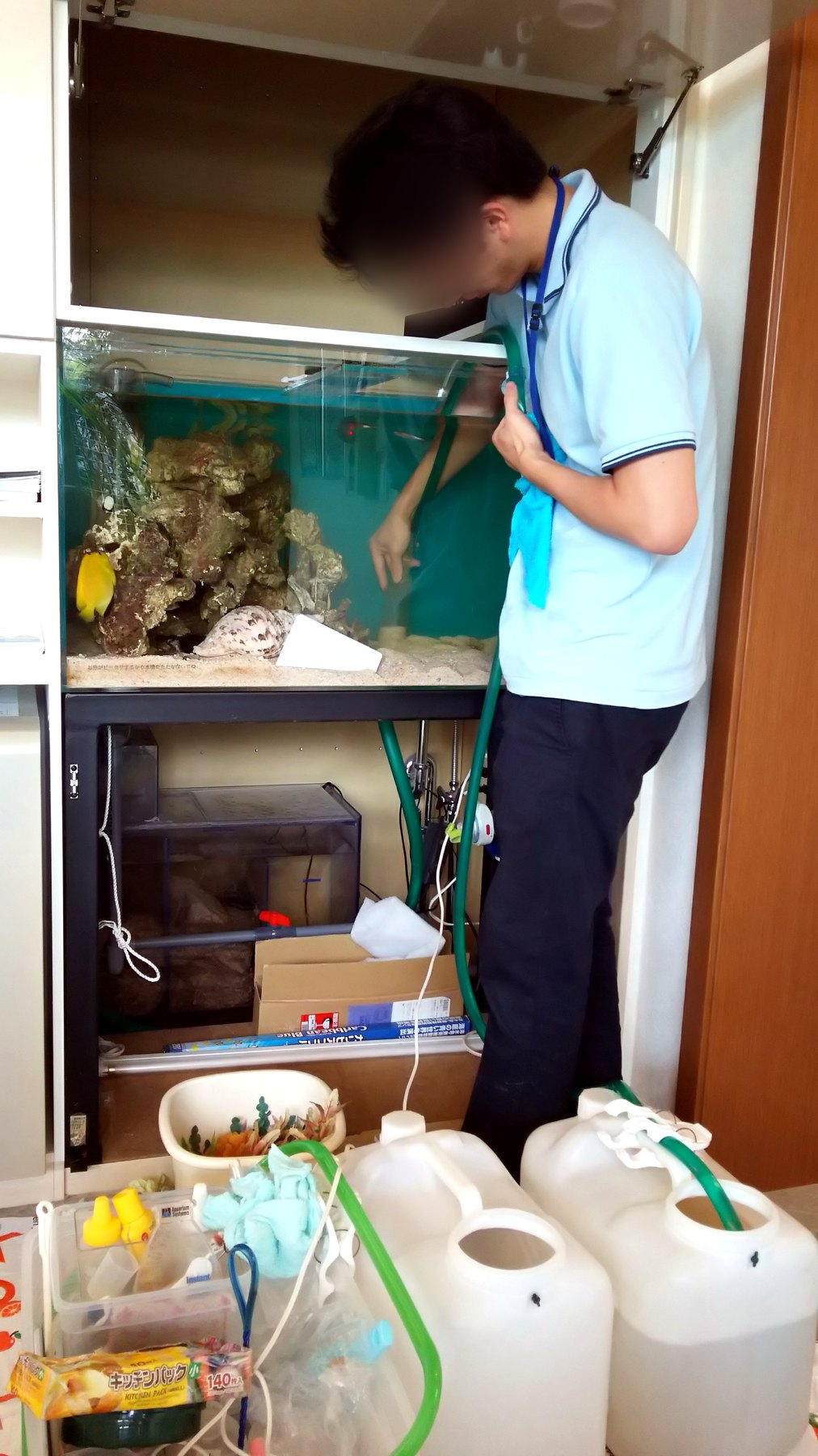 オフィスの海水魚水槽メンテナンス作業